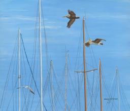 Pelicans past Ship Masts